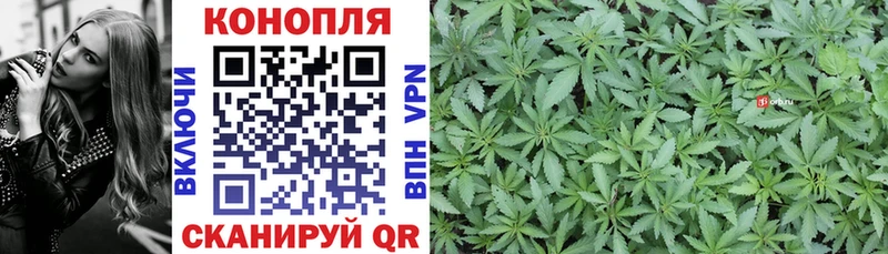 Бошки марихуана тримм  Николаевск 